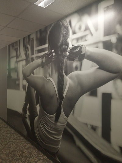 Fitness Wall Mural