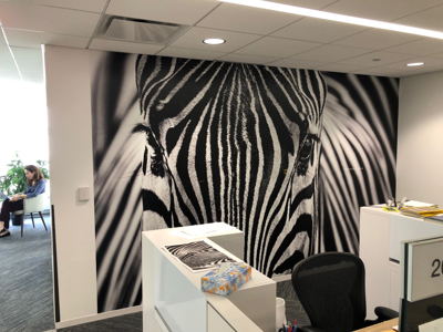 Non-Traditional Office Wall Graphic Zebra
